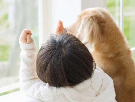 De ce avem nevoie de ventilatie si aer proaspat confortul